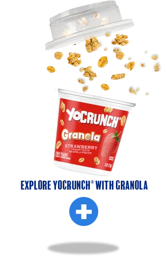 YoCrunch Strawberry Lowfat Yogurt Cup with Granola Pieces