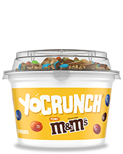 YoCrunch Vanilla Lowfat Yogurt with crushed Peanut M&M's