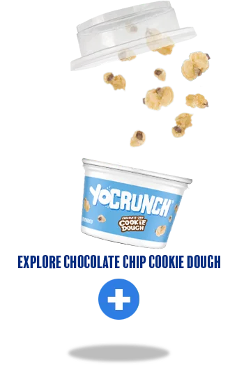 YoCrunch Vanilla Lowfat Yogurt with Chocolate Chip Cookie Dough
