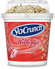 kelloggs_granola